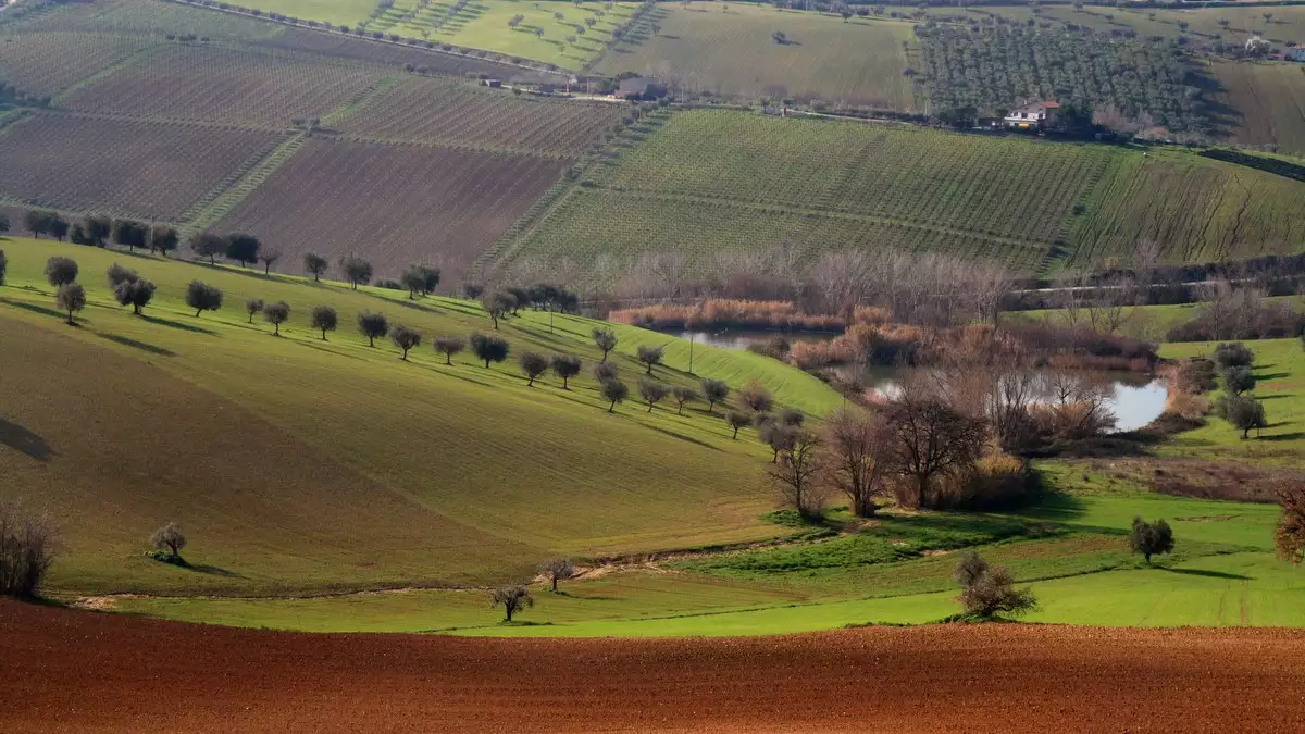 Un'immagine generica segnaposto con angoli arrotondati in una figura.